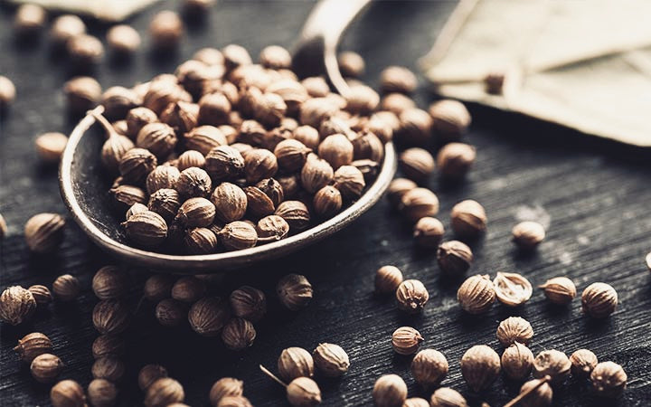 Coriander. An aromatic secret